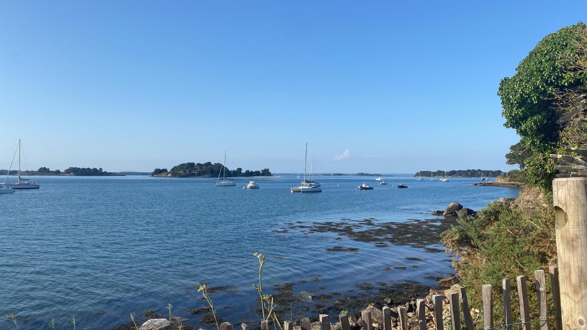 Le Petit Nid Du Port Crouesty - Studio Au Calme Arzon Exterior photo